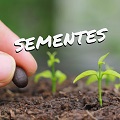 Sementes